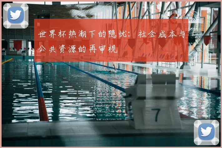 世界杯热潮下的隐忧:社会成本与公共资源的再审视
