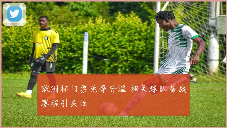 欧洲杯门票竞争升温 相关球队备战赛程引关注